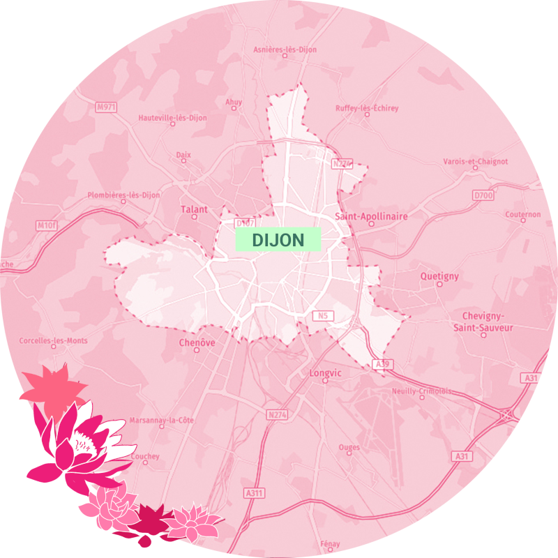 Carte de la zone de livraison d'Hanha Cuisine